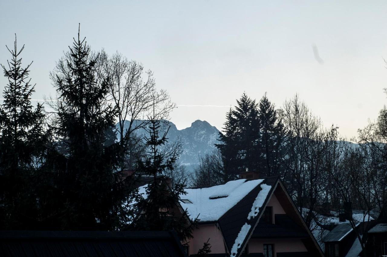 Villa Maja Zakopane Dış mekan fotoğraf